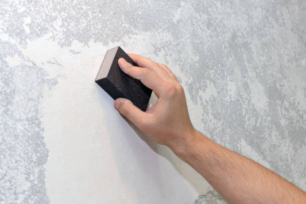 Best Basement Mold Removal  in Hopkinsville, KY