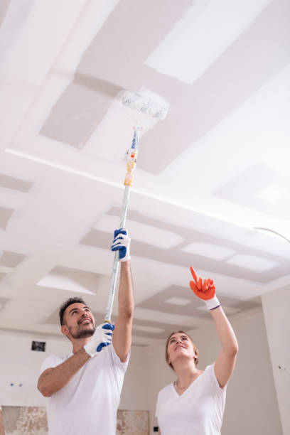 Best Commercial Mold Inspection  in Hopkinsville, KY