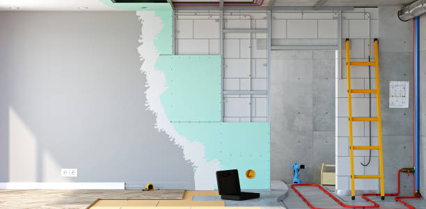 Best Emergency Mold Remediation  in Hopkinsville, KY