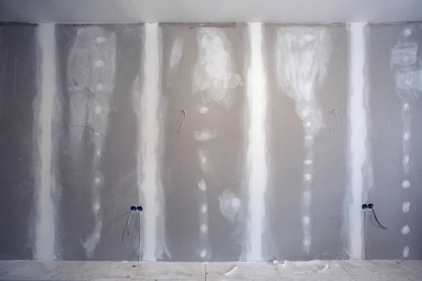 Forensic Mold Investigation in Hopkinsville, KY